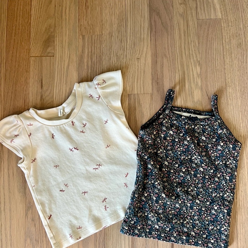 Floral and Dragonfly Toddler Girl Tops Set